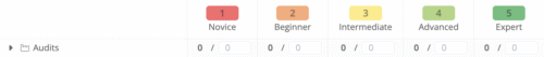 Screenshot of the “Audits” section in Azumuta’s skill matrix. It displays five skill levels: Novice (1, red), Beginner (2, orange), Intermediate (3, yellow), Advanced (4, light green), and Expert (5, dark green). Each level has a 0 / 0 value beneath it, indicating no audits or completions yet. The “Audits” label with a chart icon is on the left.